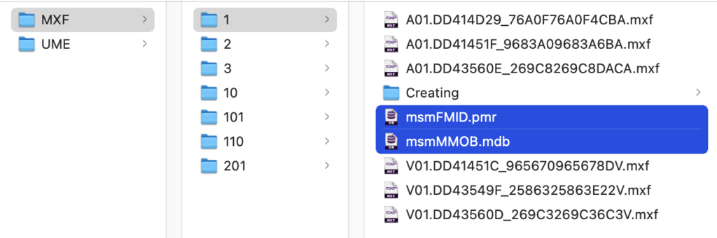 media database files | GeniusDV